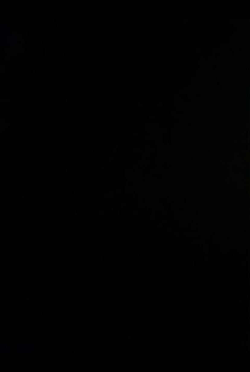 Hvid dør specialmål fabriksny